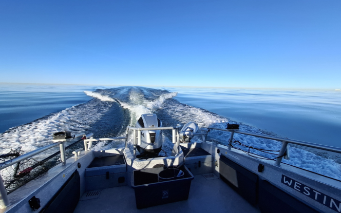 Angelboot Angelboot Baltic King - Nordostküste Rügen Bild 11