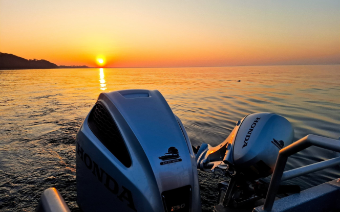 Angelboot Angelboot Baltic King - Nordostküste Rügen Bild 6