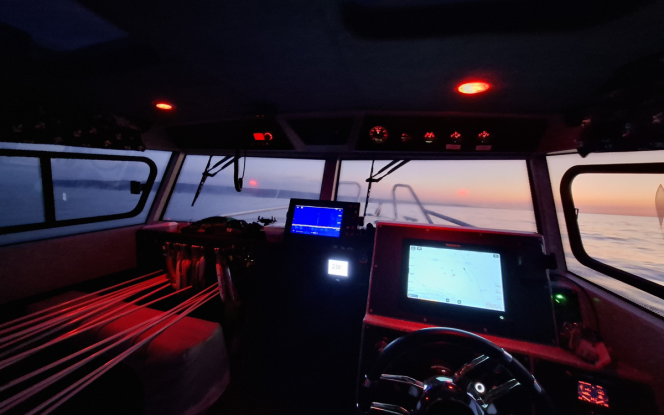 Angelboot Angelboot Baltic King - Nordostküste Rügen Bild 7