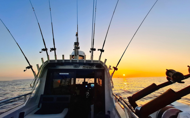 Angelboot Angelboot Baltic King - Nordostküste Rügen Bild 8