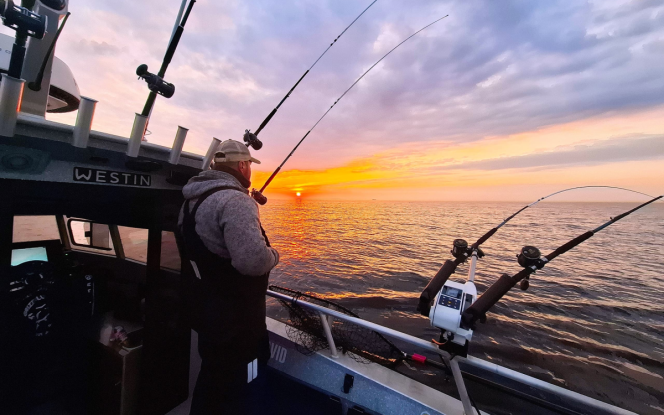 Angelboot Angelboot Baltic King - Nordostküste Rügen Bild 9