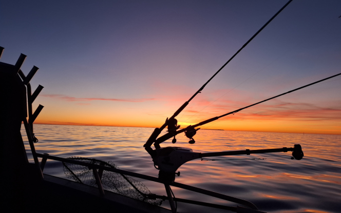 Angelboot Angelboot Baltic King - Nordostküste Rügen Bild 10