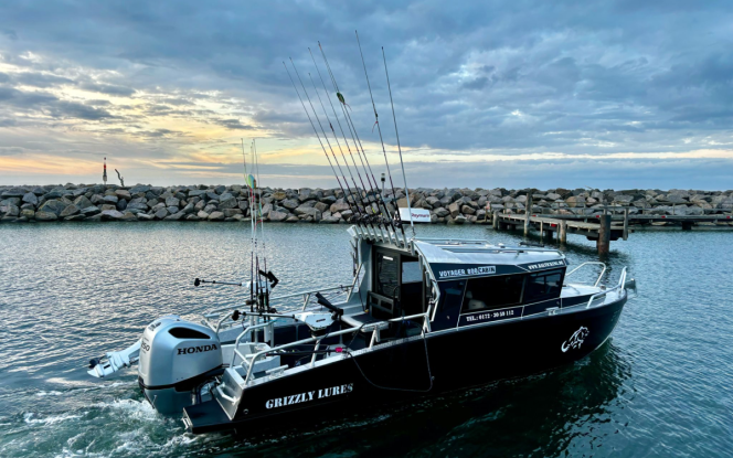 Angelboot Angelboot Baltic King - Nordostküste Rügen Bild 4