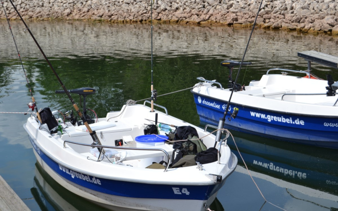 Angelboot Angelboot (Dreamline 430) Bild 1