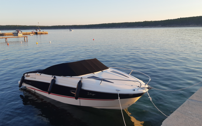 Boote auf Trailer Bayliner 642 ?Indigo? Bild 1