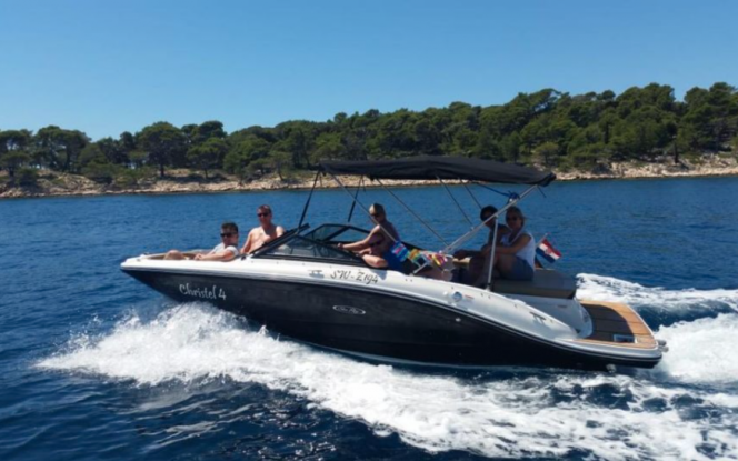 Boote auf Trailer Christel 4 - Sea Ray 190 SPXE Bild 5