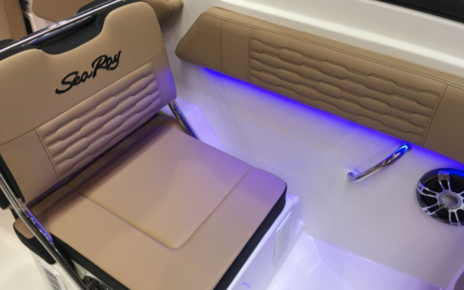 Boote auf Trailer Christel 5 - Sea Ray 210 SPXE & Tower Bild 10