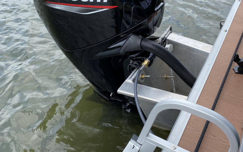 Floss Jolly Roger Bild 9