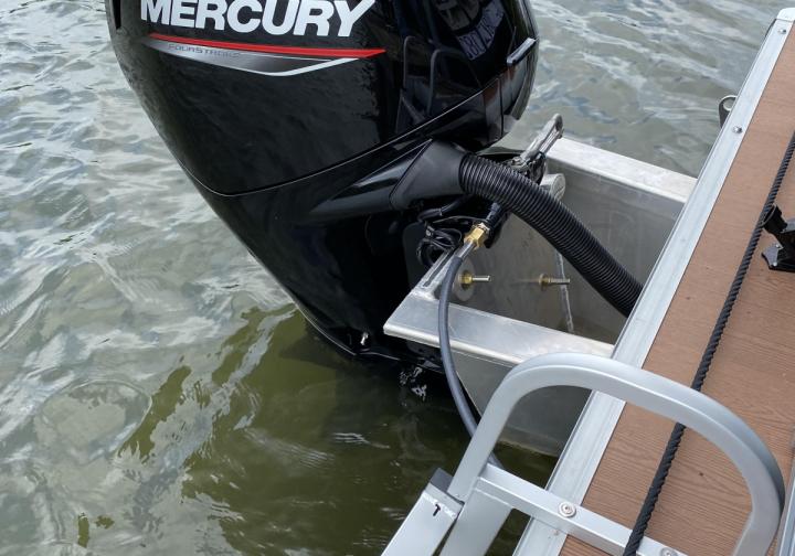 Floss Jolly Roger Bild 9