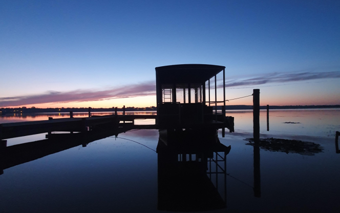 Floss kleines Partyfloss Bild 2