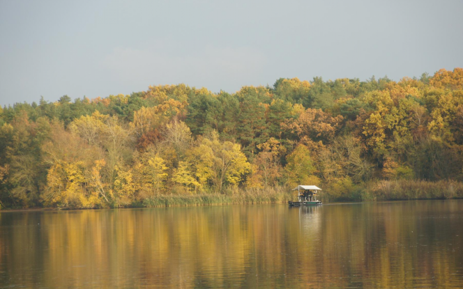 Floss Strampelkahn Bild 9