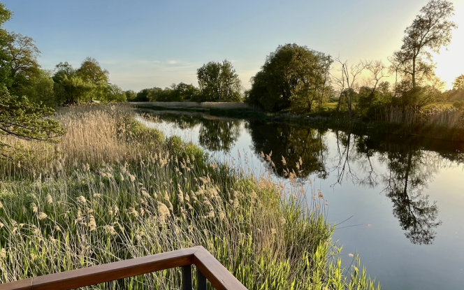 Hausboot Knautschke Bild 11