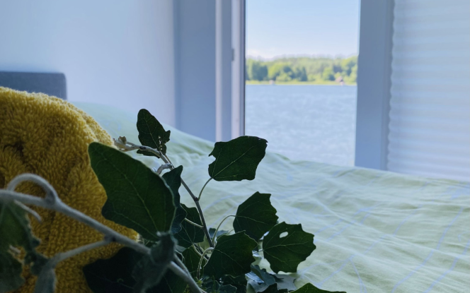 Hausboot Marlene D | vonAnker 1st Class Werftbau Bild 18