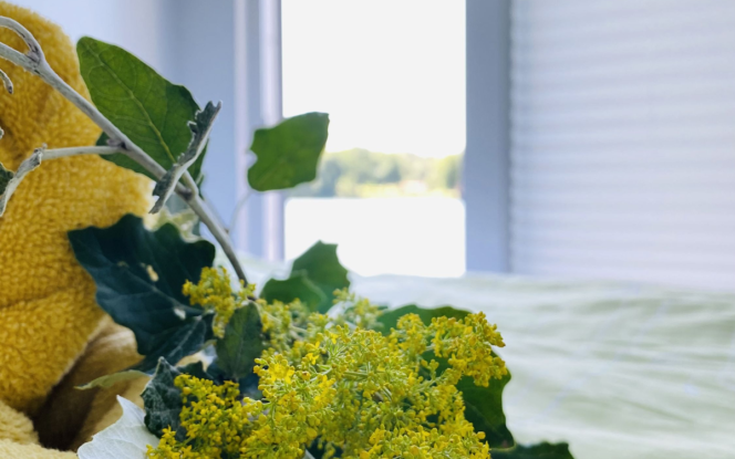 Hausboot Marlene D | vonAnker 1st Class Werftbau Bild 16