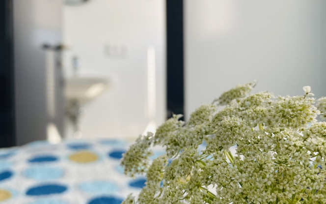 Hausboot Marlene D Bild 21