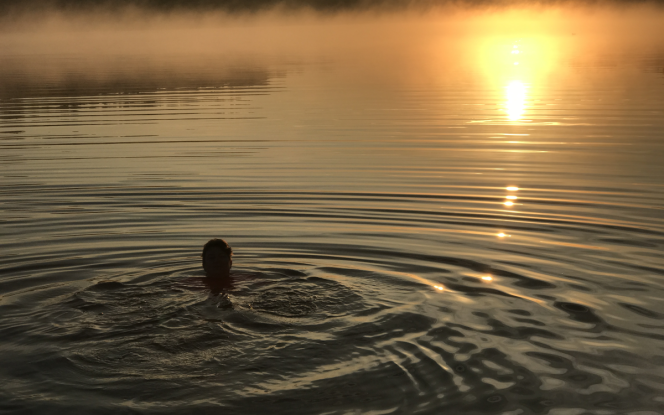 Hausboot MoDo Hausboot - Custom Build Bild 2