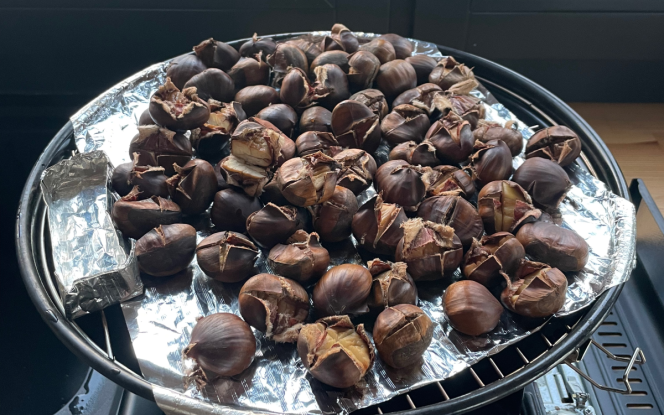 Hausboot MoDo HAUSBOOT - Familie - Abenteuer - Romantik - Rückzugsort Bild 23