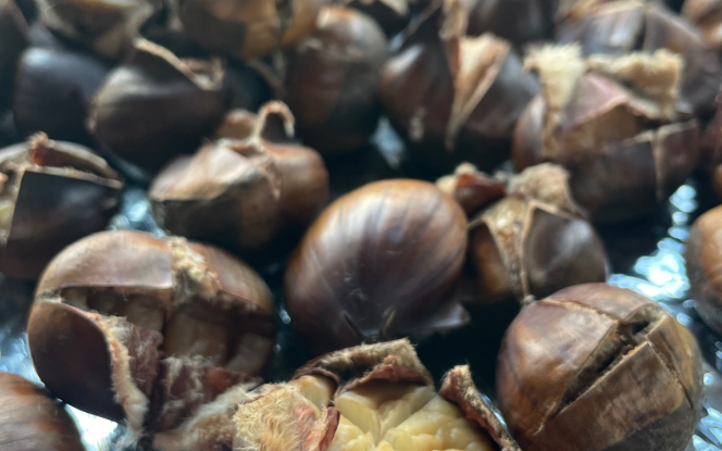 Hausboot MoDo HAUSBOOT - Familie - Abenteuer - Romantik - Rückzugsort Bild 22