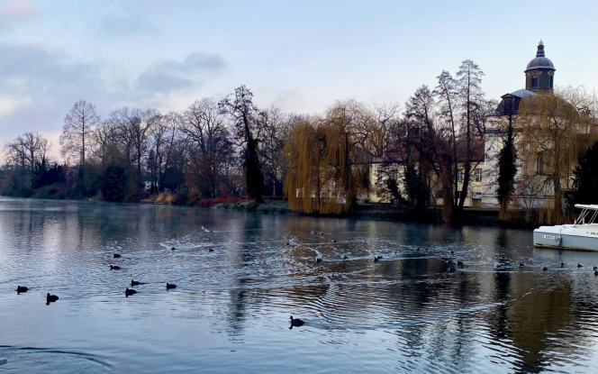 Hausboot MoDo HAUSBOOT - Familie - Abenteuer - Romantik - Rückzugsort Bild 30