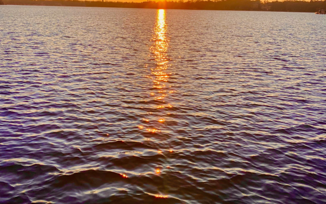 Hausboot MoDo HAUSBOOT - Familie - Abenteuer - Romantik - Rückzugsort Bild 28