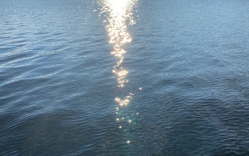 Hausboot MoDo HAUSBOOT - Familie - Abenteuer - Romantik - Rückzugsort Bild 29