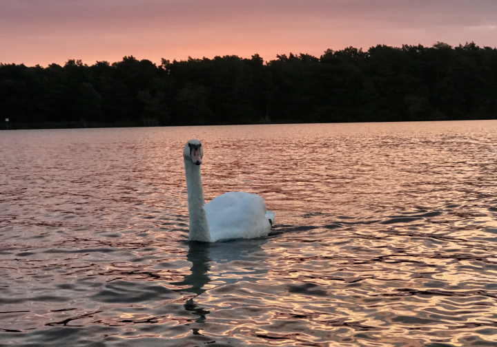 Hausboot MoDo HAUSBOOT - Familie - Abenteuer - Romantik - Rückzugsort Bild 8