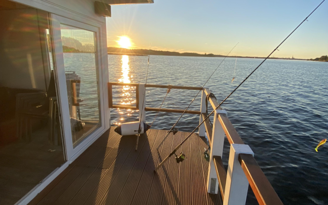 Hausboot Treibholz Schwerin Bild 5