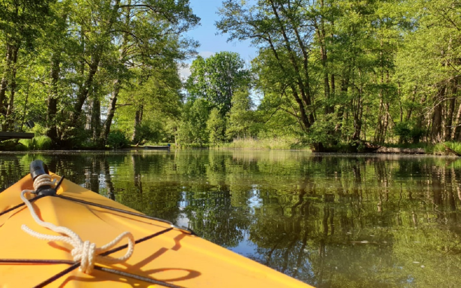 Kajak Kajak ( Kanu) Paddelboot Fürstenwalde Bild 4