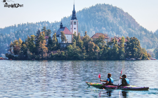 Kanu ausgeWILDert - Calypso Bild 3