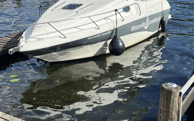 Motorboot 6 Personen Boot Johnnie Walker Bild 4