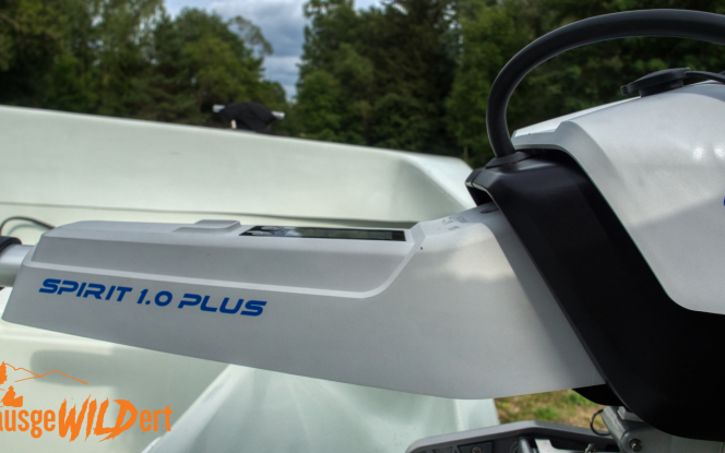 Motorboot ausgeWILDert - Fritze Wassercamper 1 Bild 4