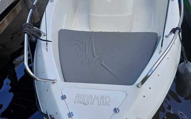 Motorboot Good Times Bild 4