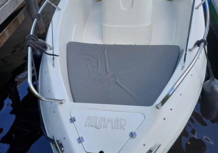 Motorboot Good Times Bild 4