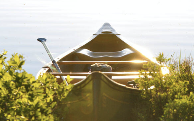 Motorboot Motorboot 3 Personen Bild 2