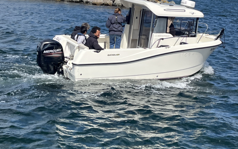 Motorboot NINA, Quicksilver 605 Pilothouse, 115 PS bis zu 6 Personen Bild 2