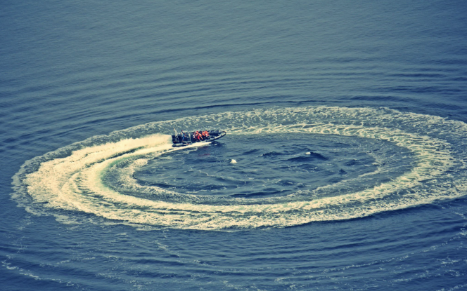 Motorboot Rigid inflatable boat - Speedboot Bild 3