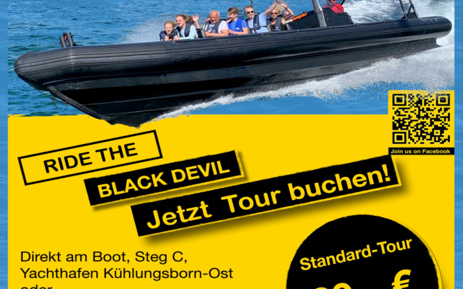 Motorboot Rigid inflatable boat - Speedboot Bild 4