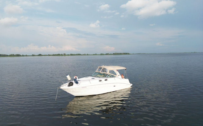Motorboot Searay DA300 Bild 7