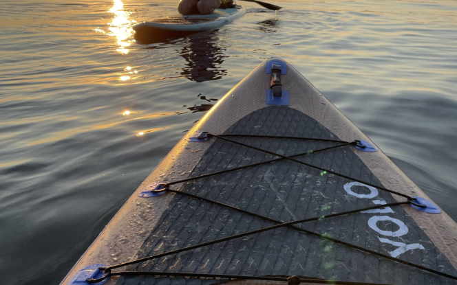 Sup - Stand up Paddling 2 SUPs inkl. Lieferung ? Abenteuer und Spaß auf dem Wasser Bild 6