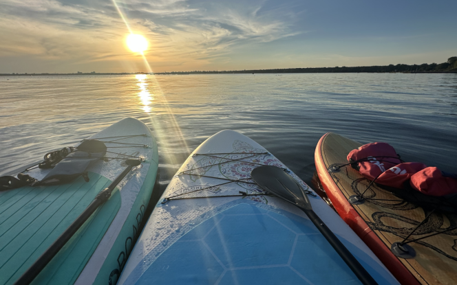 Sup - Stand up Paddling SUP Board  YOLO mobiler Verleih und Touren Tagesmiete 30 Euro Bild 2