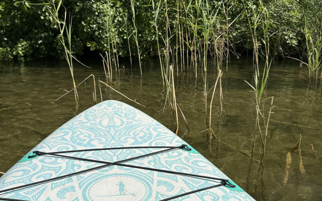 Sup - Stand up Paddling SUP Board mobil mieten Tagespreis 30 Euro Bild 3