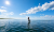 eFoilen E Foil Bild 1