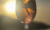 Floss Sonnenuntergang-Tour Bild 10