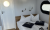 Hausboot Hausboot mieten Berlin Köpenick  Führerscheinpflichtiges Bild 9