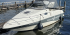 Motorboot 6 Personen Boot Johnnie Walker Bild 10