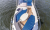 Motorboot ”Marius” Motorboot für bis zu 6 Personen Bild 2