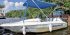 Motorboot Motorboot Flipper 15Ps Fuehrerscheinfrei Bild 1