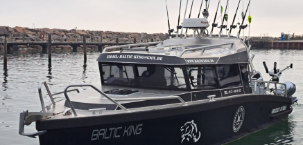 Angelboot Angelboot Baltic King - Nordostküste Rügen mieten