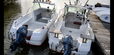 Motorboot Baltica IX mieten