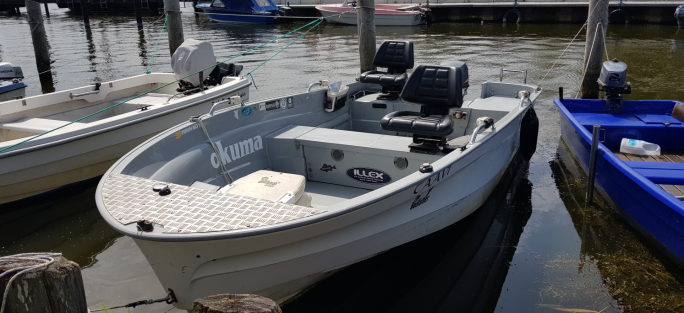 Motorboot Pegazus 450 mieten
